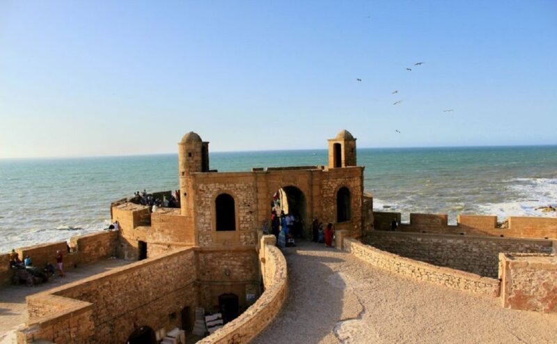 From Agadir: Essaouira Excursion Full Day Trip - Tamri Beach and Flying Goats