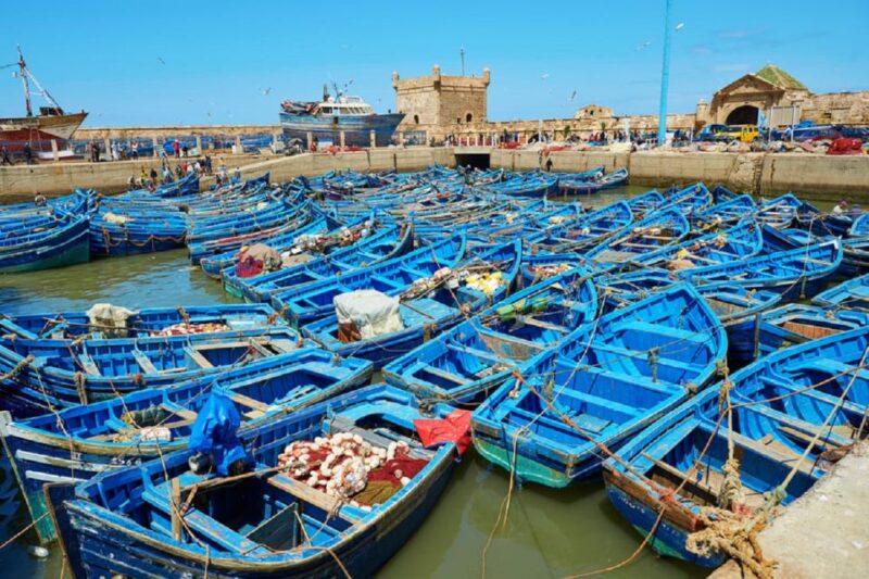From Agadir: Essaouira Excursion Full Day Trip - Historical Sites and Medina