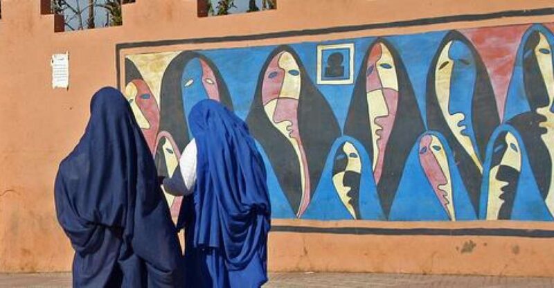 From Agadir: Half-Day Tour to Taroudant - Good To Know