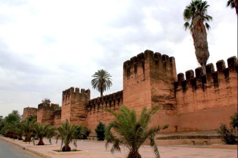 From Agadir: Half-Day Tour to Taroudant - Itinerary Highlights