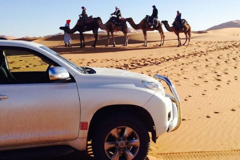From Agadir: Jeep Desert Safari With Lunch and Camel Ride - Transportation and Guide