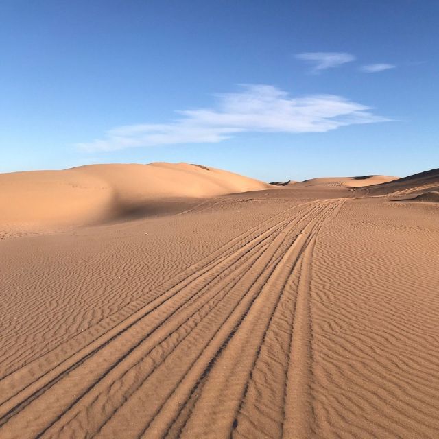 From Agadir: Jeep Desert Safari With Lunch and Camel Ride - Exploring Massa Valley and Souss Massa National Park