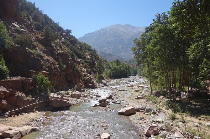 From Agadir: Marrakech Excursion Full-Day Trip - Traveler Reviews and Ratings