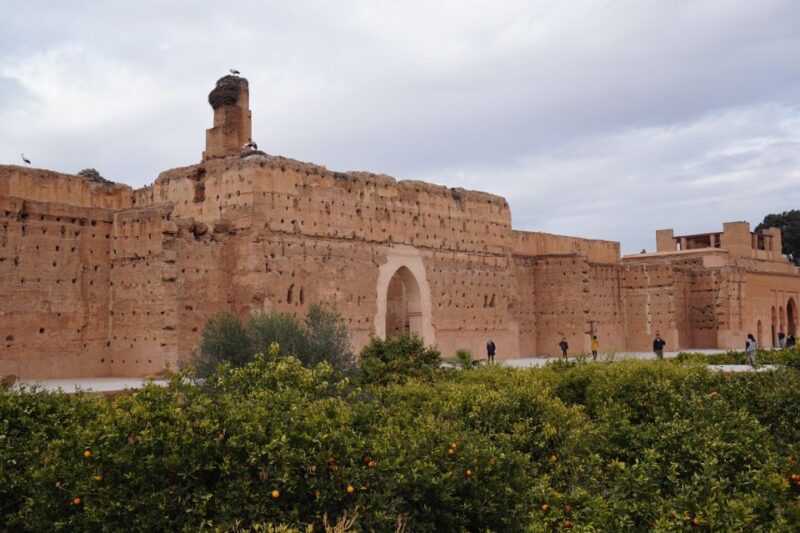 From Agadir: Marrakech Guided Trip With Licensed Tour Guide - Transportation and Guide Details