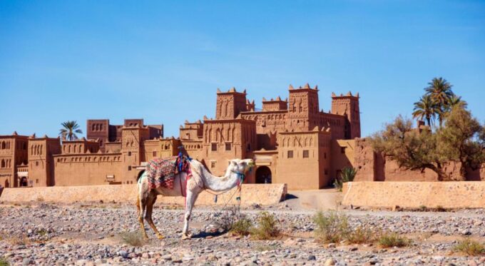 From Agadir or Taghazout: 2-Day Sahara Desert Tour to Zagora - Booking and Cancellation Policy