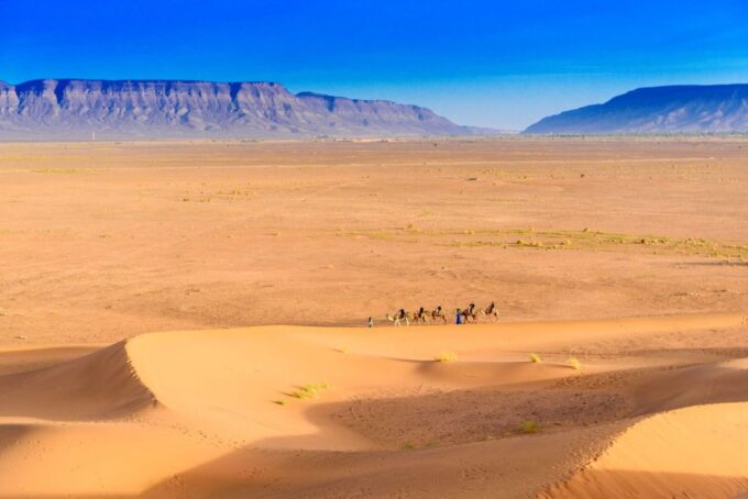 From Agadir or Taghazout: 2-Day Sahara Desert Tour to Zagora - Frequently Asked Questions