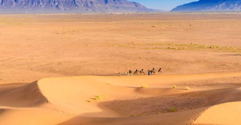 From Agadir or Taghazout: 2-Day Sahara Desert Tour to Zagora - The Journey to Taznakht