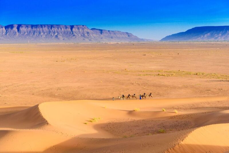 From Agadir or Taghazout: 2-Day Sahara Desert Tour to Zagora - Booking Information