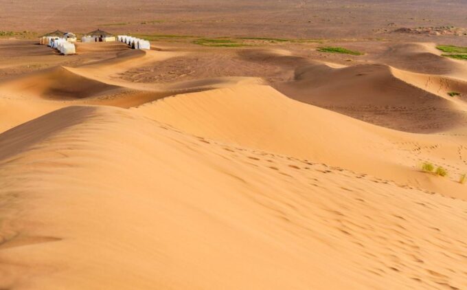 From Agadir or Taghazout: 2-Day Sahara Desert Tour to Zagora - Explore Saffron Taliouine