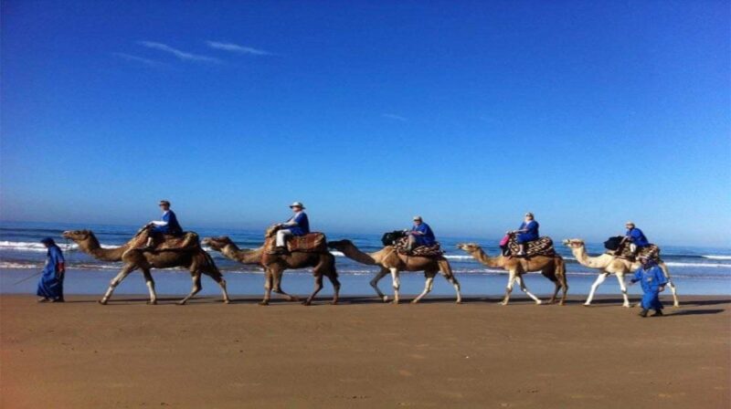 From Agadir or Taghazout : Camel Ride at the Sunset - Tour Overview