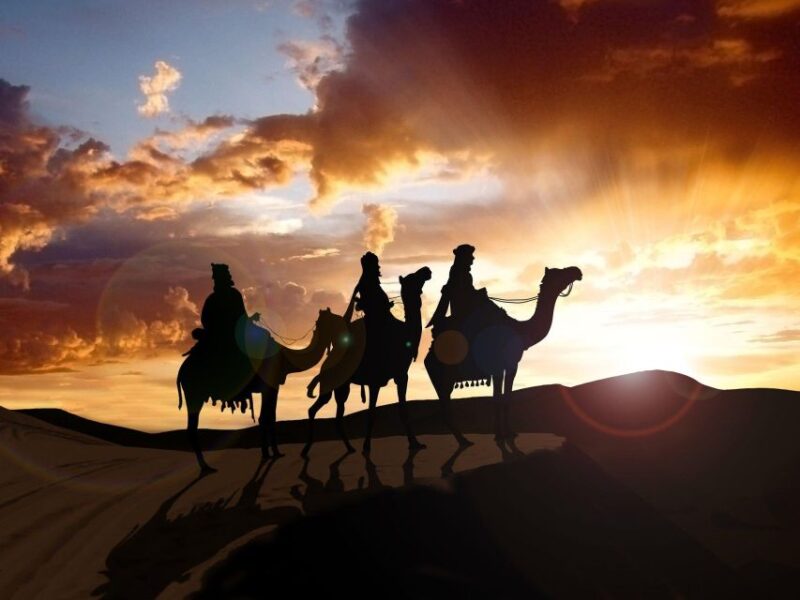 From Agadir or Taghazout: Camel Ride Tour & Flamingos Watch - Customer Reviews