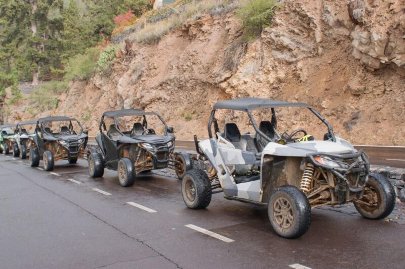 From Agadir or Taghazout: Dune Buggy Tour - Good To Know