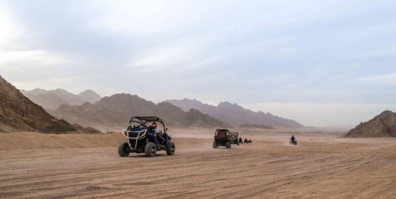 From Agadir or Taghazout: Dune Buggy Tour - Dune Buggy Experience
