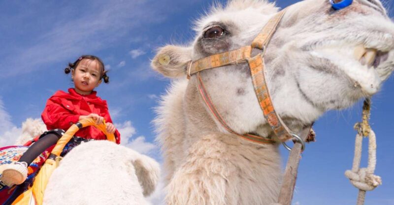 From Agadir or Taghazout: Flamingo River Camel Ride With Tea - Getting to the Camel Ride