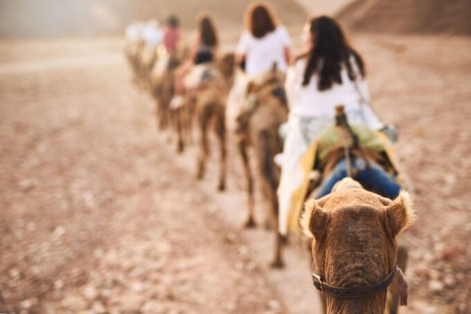 From Agadir or Taghazout: Flamingo River Camel Ride With Tea - Frequently Asked Questions