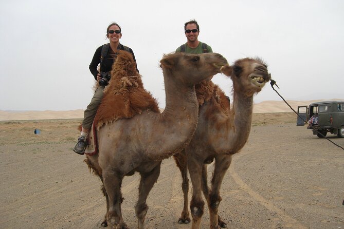 From Agadir or Taghazout or Port 2 Hours Camel Ride - Accessibility Options