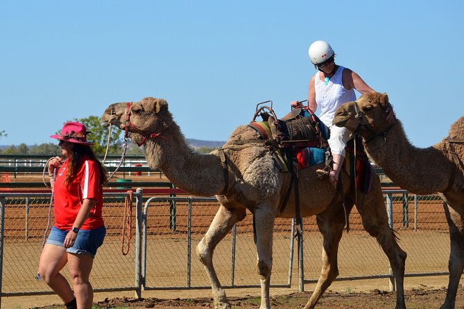 From Agadir or Taghazout or Port 2 Hours Camel Ride - Activity Details