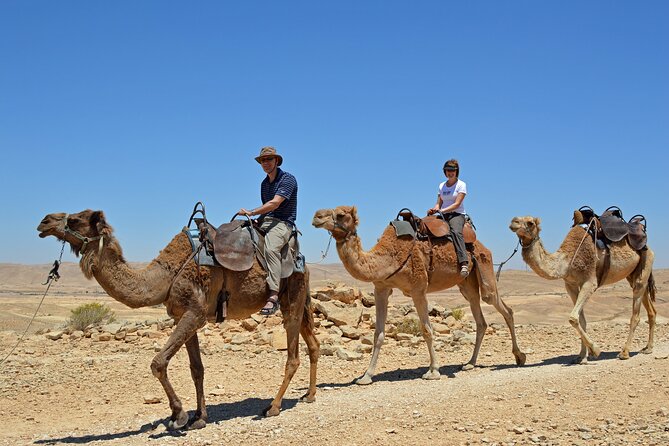 From Agadir or Taghazout or Port 2 Hours Camel Ride - Customer Reviews