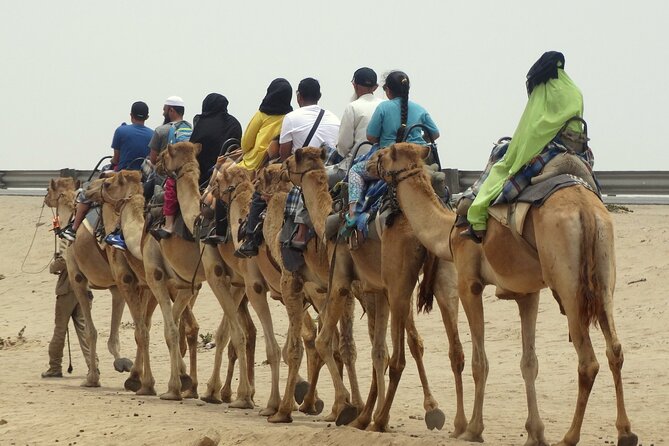 From Agadir or Taghazout or Port 2 Hours Camel Ride - Booking Information
