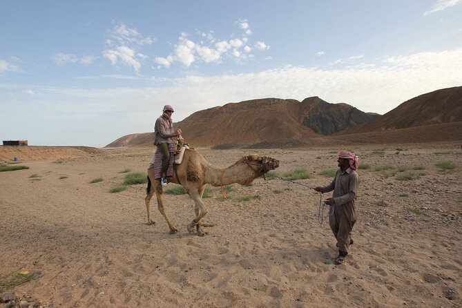 From Agadir or Taghazout or Port 2 Hours Camel Ride - Frequently Asked Questions