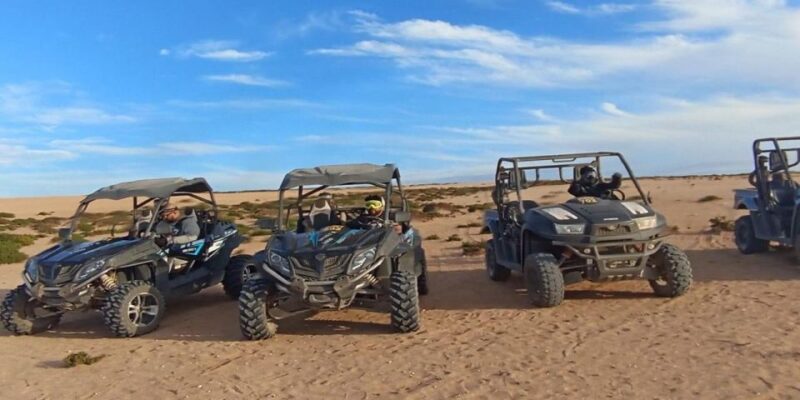From Agadir or Taghazout: Sand Dunes Buggy Tour - Off-Road Excitement Through Morocco