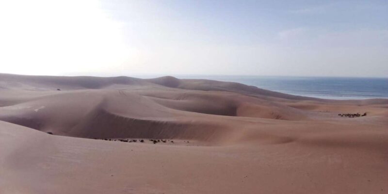 From Agadir Or Taghazout: Sandboarding in Agadir - Capturing Unforgettable Panoramic Moments