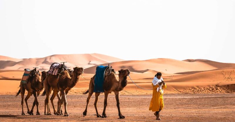 From Agadir : Private 4-Day To Marrakech Via Merzouga Desert - Tour Overview and Pricing