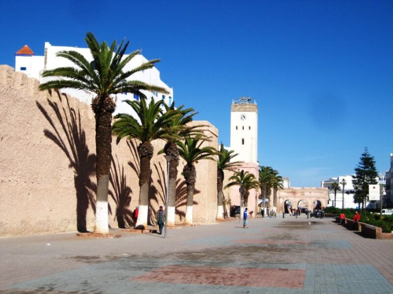 From Agadir: Private or Shared Essaouira Day Trip - Highlights of the Day Trip