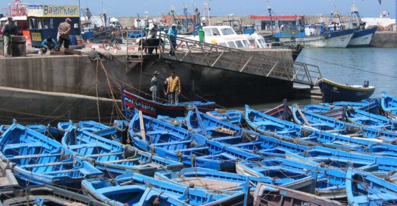 From Agadir: Private or Shared Essaouira Day Trip - Tour Logistics and Inclusions