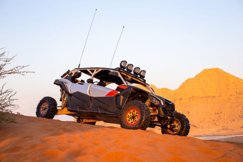 From Agadir: Sahara Desert Buggy Tour With Snack & Transfer - Experience Highlights