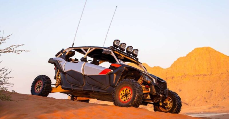 From Agadir: Sahara Desert Buggy Tour With Snack & Transfer - Important Considerations