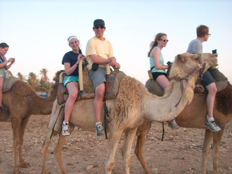From Agadir: Sahara Desert Buggy Tour With Snack & Transfer - Sahara Desert Adventure
