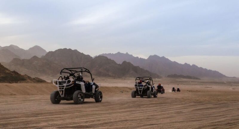 From Agadir: Sahara Desert Buggy Tour With Snack & Transfer - Highlights of the Experience