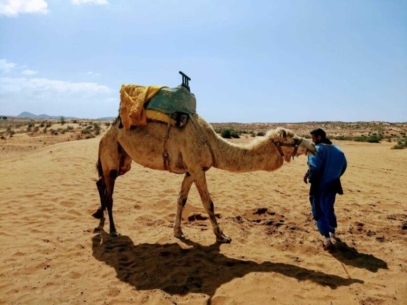 From Agadir: Sahara Desert Day Trip and Camel Ride - Good To Know