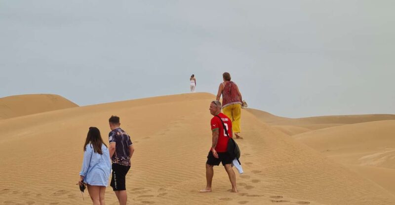 From Agadir: Sahara Desert Day Trip and Camel Ride - Scenic Views and Wildlife