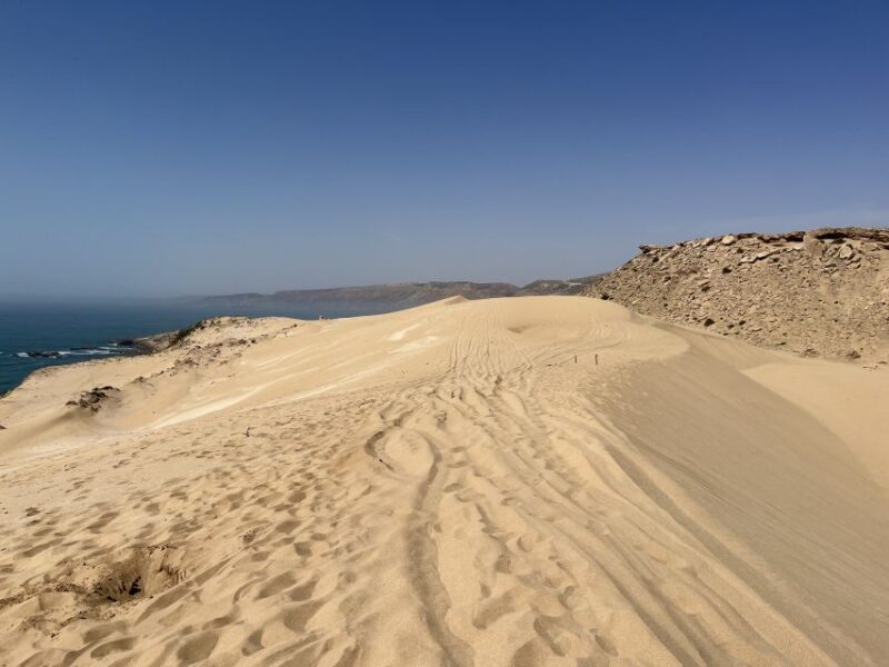 From Agadir: Secret Paradise and Timlalin Dunes Tour - Guidance and Language