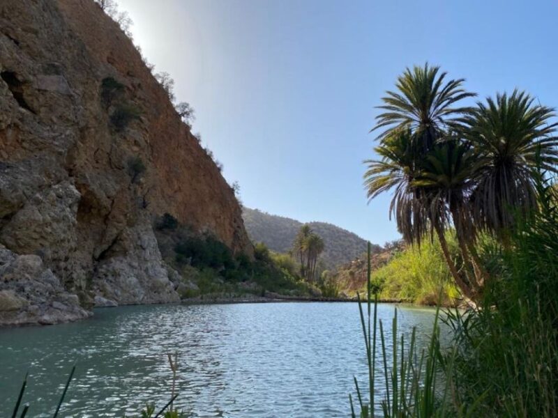 From Agadir: Secret Paradise and Timlalin Dunes Tour - Customer Feedback and Recommendations