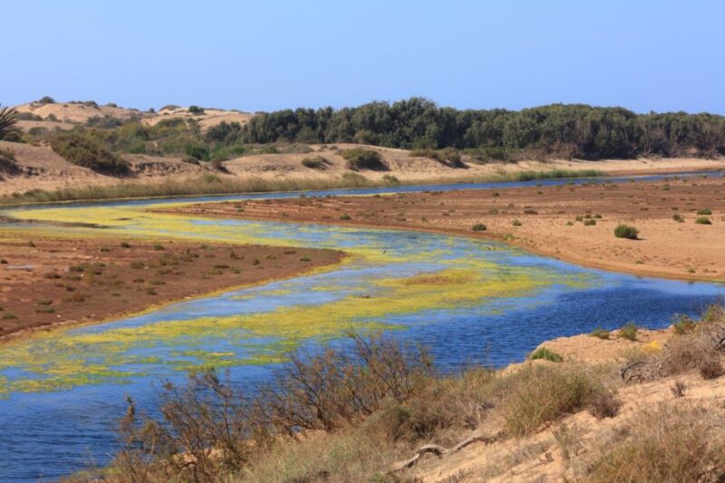 From Agadir: Sous Massa National Park Desert Safari W/Lunch - Cultural Experience