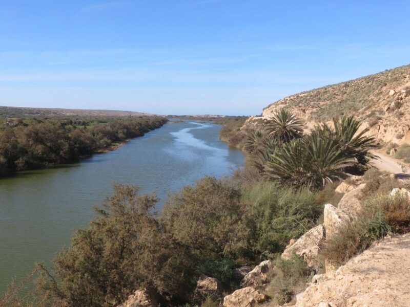 From Agadir: Sous Massa National Park Desert Safari W/Lunch - Discovering Berber Villages and Fishing Towns