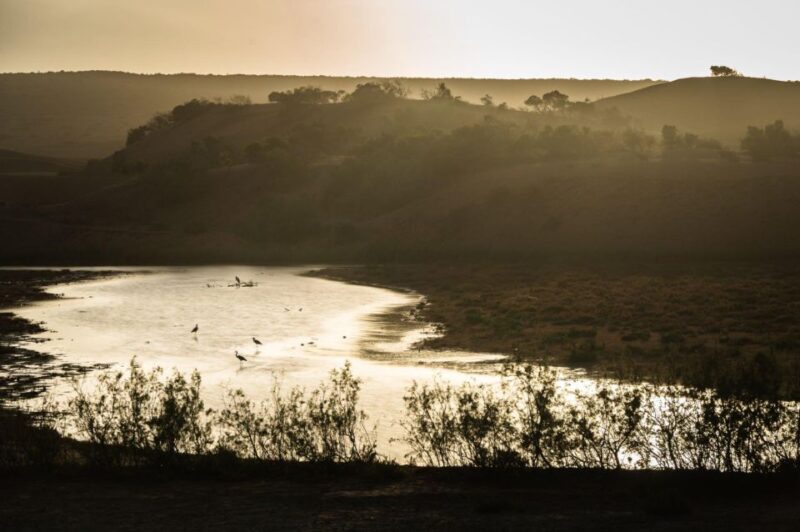 From Agadir: Sous Massa National Park Desert Safari W/Lunch - Experience Highlights
