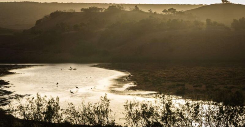 From Agadir: Sous Massa National Park Desert Safari W/Lunch - Wildlife and Scenic Attractions