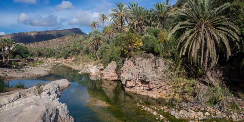 From Agadir & Taghazout: Paradise Valley VIP Private Tour - Good To Know