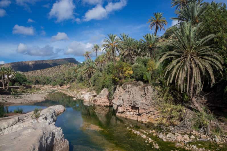 From Agadir & Taghazout: Paradise Valley VIP Private Tour - Highlights of the Experience