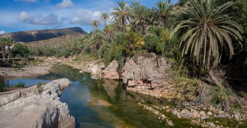 From Agadir & Taghazout: Paradise Valley VIP Private Tour - Exploring Immouzars Honey Road