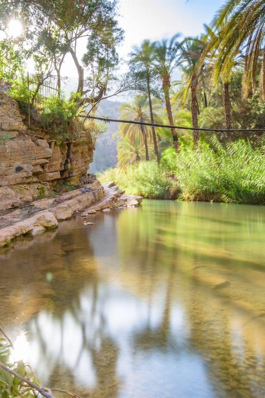 From Agadir & Taghazout: Paradise Valley VIP Private Tour - Hiking to Natural Pools