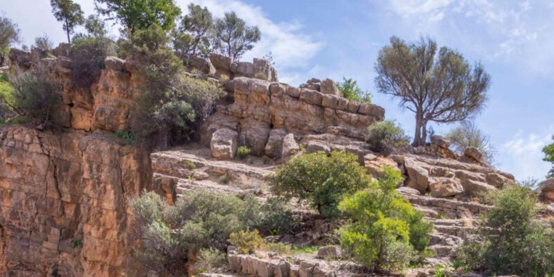 From Agadir & Taghazout: Paradise Valley VIP Private Tour - Inclusions and Amenities