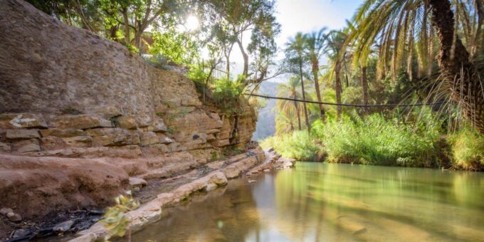 From Agadir & Taghazout: Paradise Valley VIP Private Tour - Restrictions and Exclusions