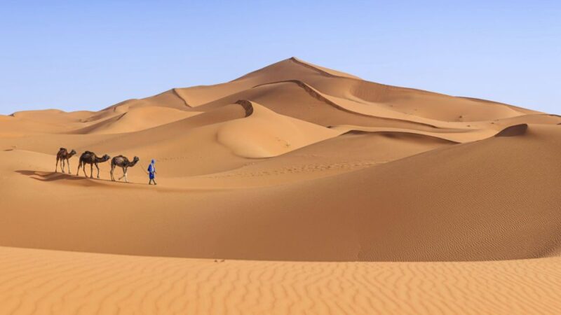 From Agadir/Taghazout: Sahara Sand Dunes With Transfer - Itinerary Details