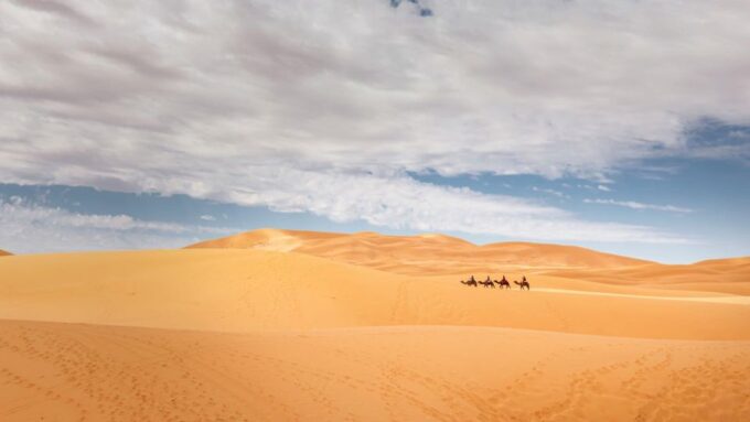 From Agadir/Taghazout: Sahara Sand Dunes With Transfer - Exploring the Sahara