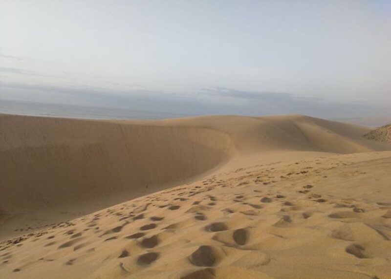 From Agadir/Taghazout: Sahara Sand Dunes With Transfer - Experience Highlights